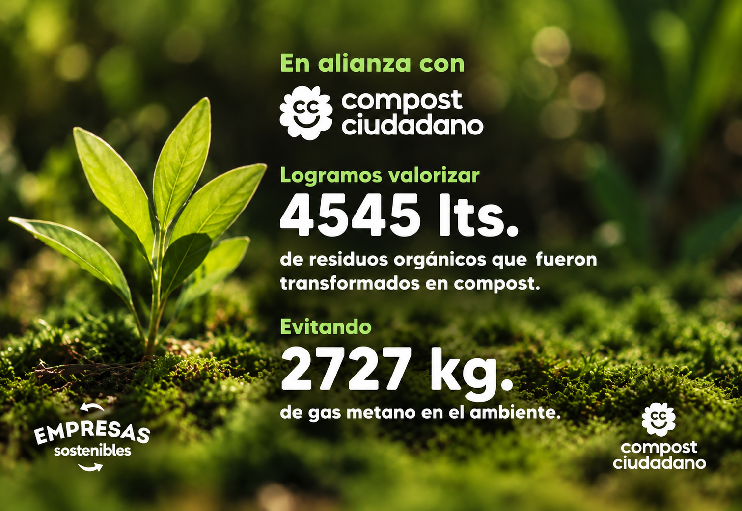 Clasificación de residuos