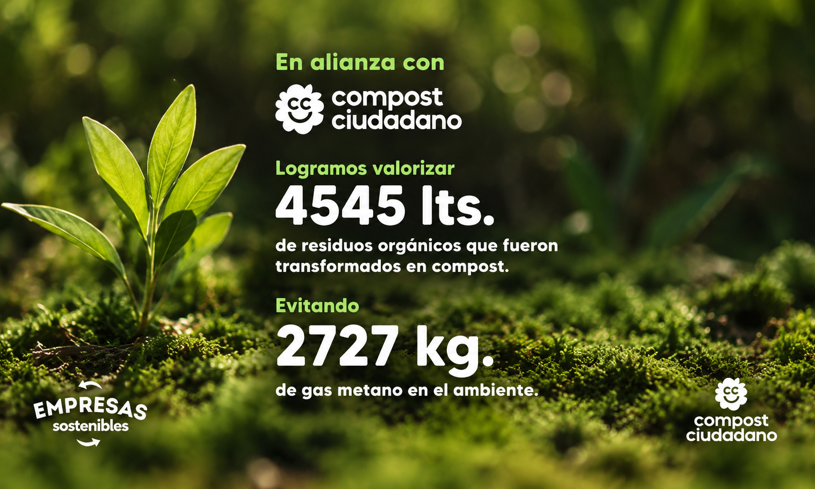 Clasificación de residuos